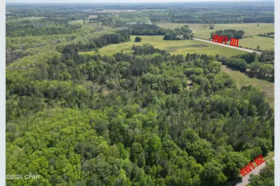 1683 Highway 162 #C, Westville, FL 32464 - Photo 8