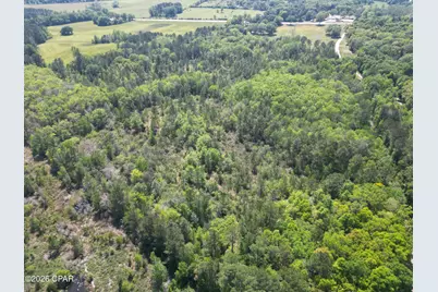 1683 Highway 162 #C, Westville, FL 32464 - Photo 2