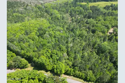 1683 Highway 162 #C, Westville, FL 32464 - Photo 4