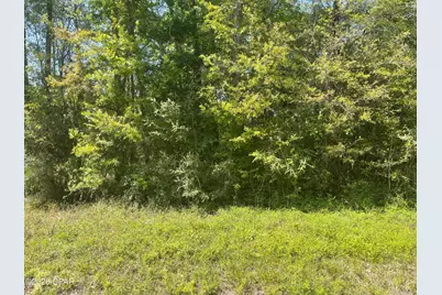 1683 Highway 162 #C, Westville, FL 32464 - Photo 6