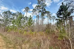 00 Palmview Ln, Cottondale, FL 32431 - Photo 1