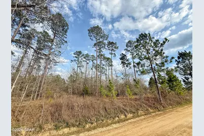 00 Palmview Lane, Cottondale, FL 32431 - Photo 4