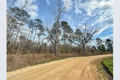 00 Palmview Lane, Cottondale, FL 32431 - Photo 6