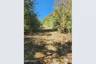 000 Pineridge Church Road, Marianna, FL 32448 - Photo 24
