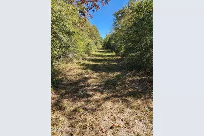 000 Pineridge Church Road, Marianna, FL 32448 - Photo 26