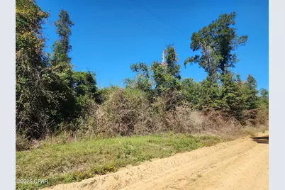 000 Pineridge Church Road, Marianna, FL 32448 - Photo 14