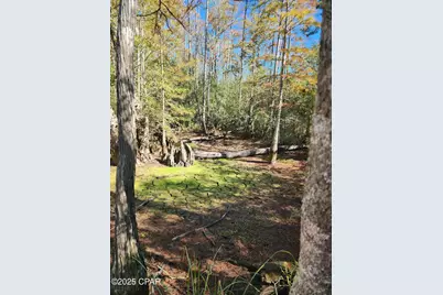 000 Pineridge Church Road, Marianna, FL 32448 - Photo 12