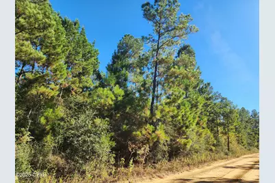 000 Pineridge Church Road, Marianna, FL 32448 - Photo 4