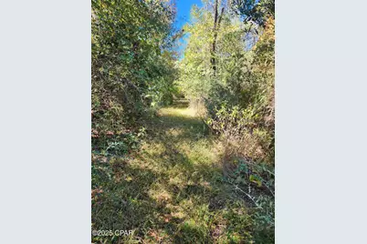 000 Pineridge Church Road, Marianna, FL 32448 - Photo 22