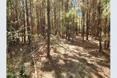 000 Pineridge Church Road, Marianna, FL 32448 - Photo 16
