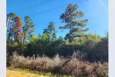 000 Pineridge Church Road, Marianna, FL 32448 - Photo 2