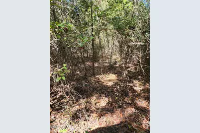 000 Pineridge Church Road, Marianna, FL 32448 - Photo 30