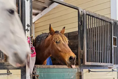 2677 Ferol Lane, Lynn Haven, FL 32444 - Photo 96