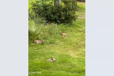 0000 13th Street #Lot 3, Southport, FL 32409 - Photo 20