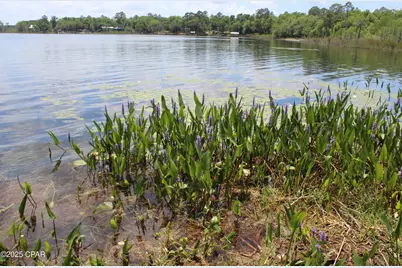 Lot 4 Arnone Lane, Chipley, FL 32428 - Photo 12