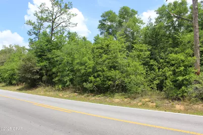 Lot 4 Arnone Lane, Chipley, FL 32428 - Photo 8