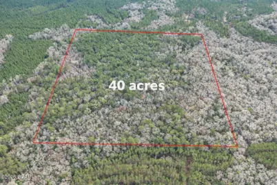 00 Clemmons Rd Road, Bonifay, FL 32425 - Photo 1