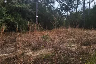 00 Chason Rd, Marianna, FL 32448 - Photo 1