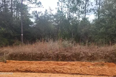 00 Chason Road, Marianna, FL 32448 - Photo 2