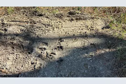 0 0 Grimes Road Lot #1, Laurel Hill, FL 32567 - Photo 22