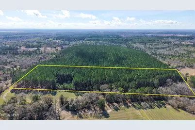 0 0 Grimes Road Lot #1, Laurel Hill, FL 32567 - Photo 2