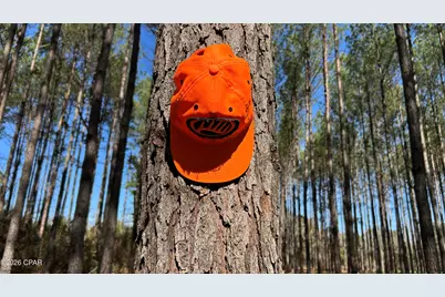 0 0 Grimes Road Lot #1, Laurel Hill, FL 32567 - Photo 10