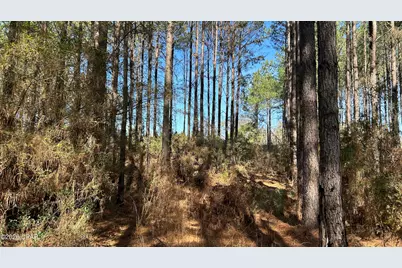 0 0 Grimes Road Lot #1, Laurel Hill, FL 32567 - Photo 24