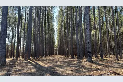 0 0 Grimes Road Lot #1, Laurel Hill, FL 32567 - Photo 8