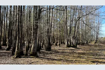 0 0 Grimes Road Lot #1, Laurel Hill, FL 32567 - Photo 20