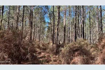 0 0 Grimes Road Lot #1, Laurel Hill, FL 32567 - Photo 12