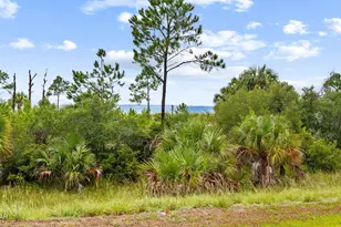 161 Porter Dr, Port Saint Joe, FL 32456 - Photo 40