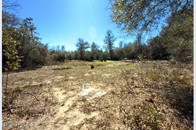 12533 Scott Road, Fountain, FL 32438 - Photo 2