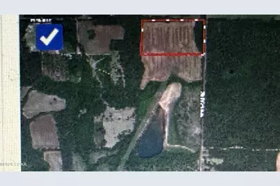 0 New Hope Road, Marianna, FL 32448 - Photo 1