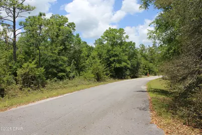 Lot 5 Arnone Lane, Chipley, FL 32428 - Photo 4