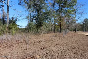 6297 Americus Rd, Marianna, FL 32446 - Photo 10