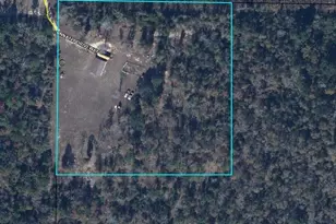 6297 Americus Rd, Marianna, FL 32446 - Photo 4