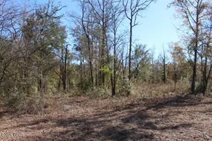 6297 Americus Rd, Marianna, FL 32446 - Photo 20