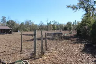 6297 Americus Rd, Marianna, FL 32446 - Photo 6