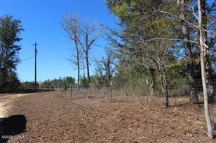 6297 Americus Rd, Marianna, FL 32446 - Photo 28