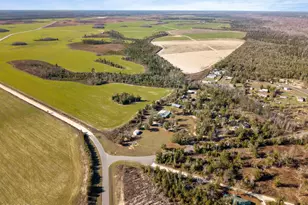 7020 SW Capt Lynn Rd, Kinard, FL 32449 - Photo 60