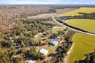 7020 SW Capt Lynn Rd, Kinard, FL 32449 - Photo 58