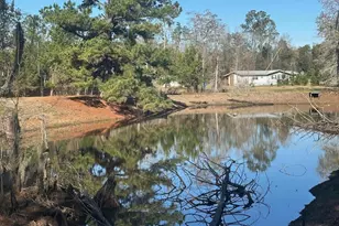 7293 Hwy 90, Grand Ridge, FL 32442 - Photo 30