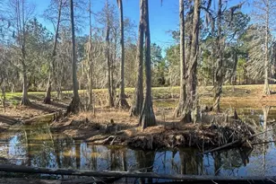 7293 Hwy 90, Grand Ridge, FL 32442 - Photo 32