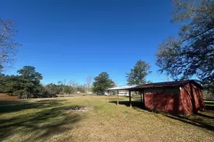 7293 Hwy 90, Grand Ridge, FL 32442 - Photo 6