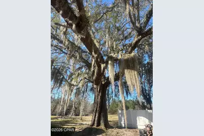 7293 Highway 90, Grand Ridge, FL 32442 - Photo 38