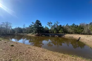 7293 Hwy 90, Grand Ridge, FL 32442 - Photo 34