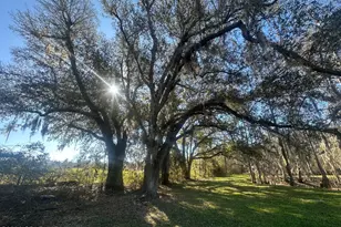 7293 Hwy 90, Grand Ridge, FL 32442 - Photo 4