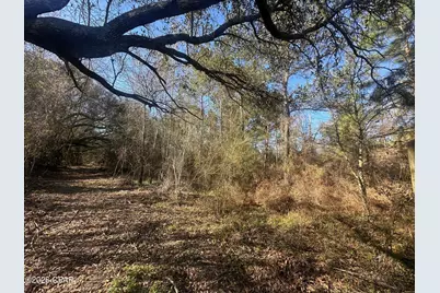 7293 Highway 90, Grand Ridge, FL 32442 - Photo 34