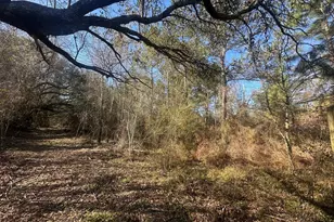 7293 Hwy 90, Grand Ridge, FL 32442 - Photo 34