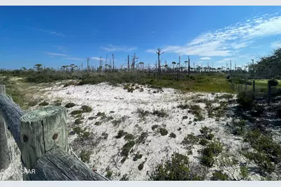 206 Bent Tree Road, Port Saint Joe, FL 32456 - Photo 6